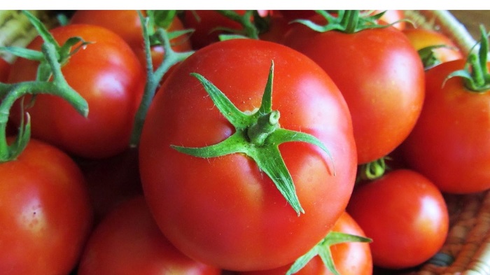 Лучшие семена томатов хорошо зарекомендовали себя