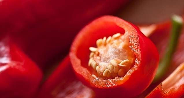 Выращивание комнатного горького перца: пошаговое руководство