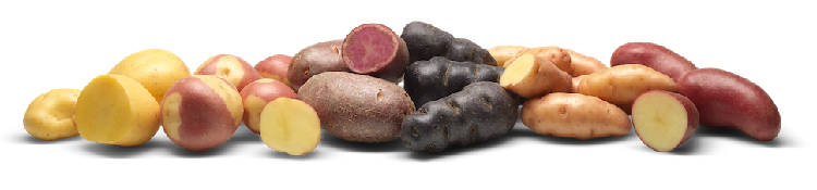 вырастить картофель приятный на вкус, и в то же время устойчивый к вредителям